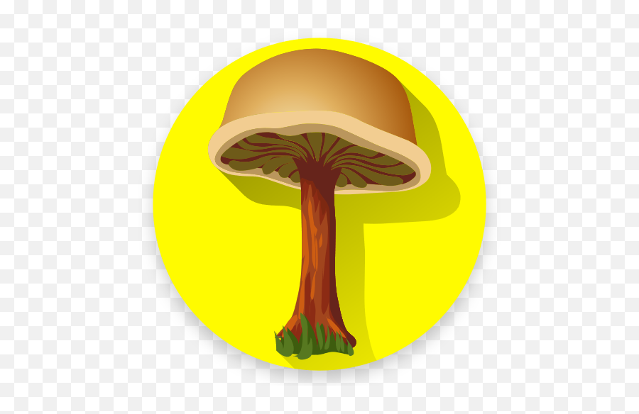 Updated Mushroom Identification App For Free App Not Emoji,Identify Clipart