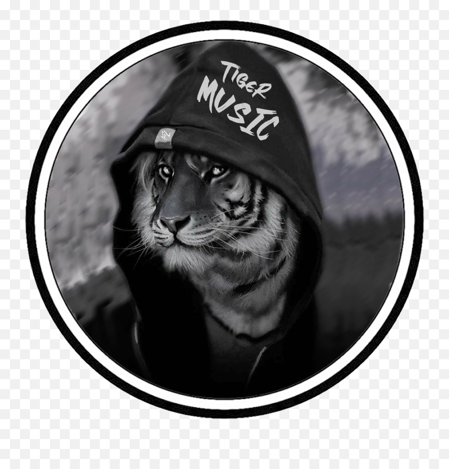 Tiger Music Logo This - Cat Emoji,Youtube Music Logo