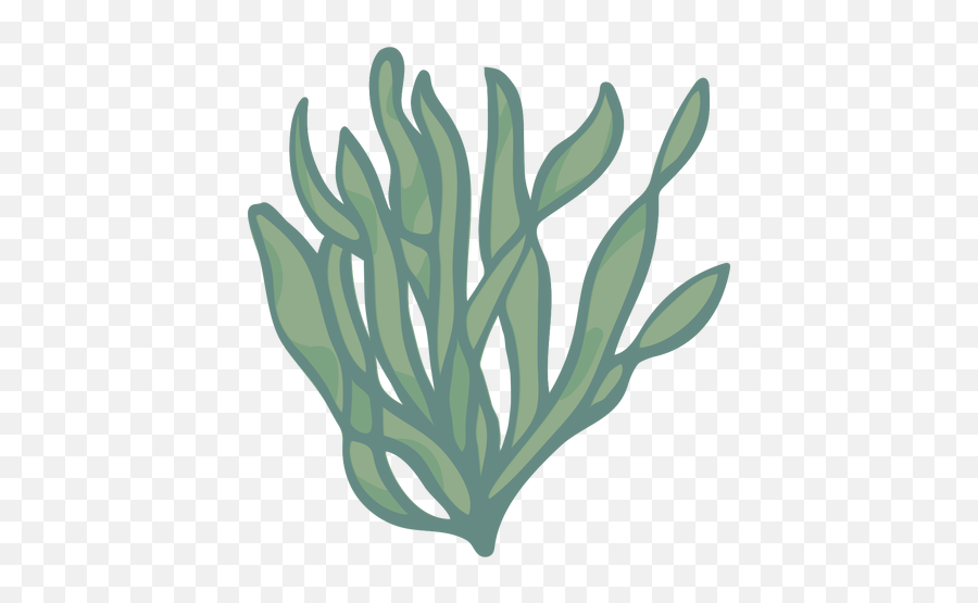 Transparent Png Svg Vector File - Fines Herbes Emoji,Seaweed Png