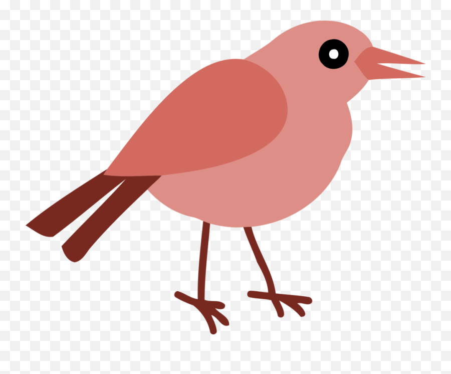 European Robin Bird Beak Thumbnail - Birds Emoji,Robin Clipart