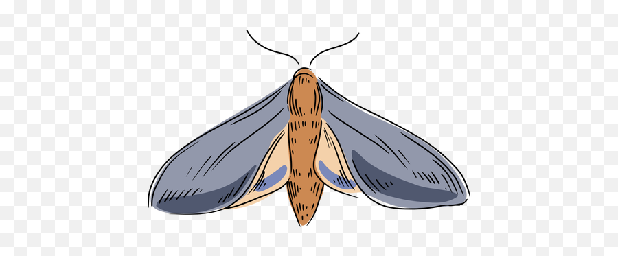 Transparent Png Svg Vector File - Hawk Moths Emoji,Moth Transparent