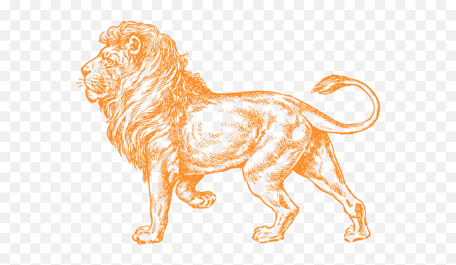 Orange Lion Logo - Orange Lion Png Emoji,Orange Lion Logo