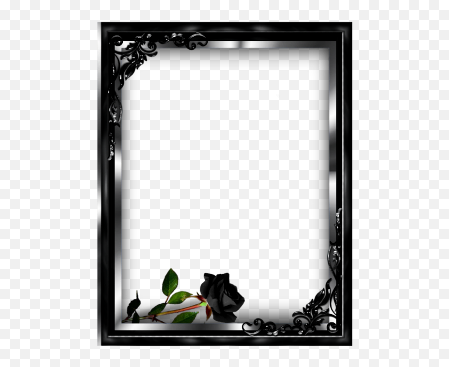 Frame Black Rose Picture Design - Free Image On Pixabay Marco Rosa Con Negro Png Emoji,Black Rose Png