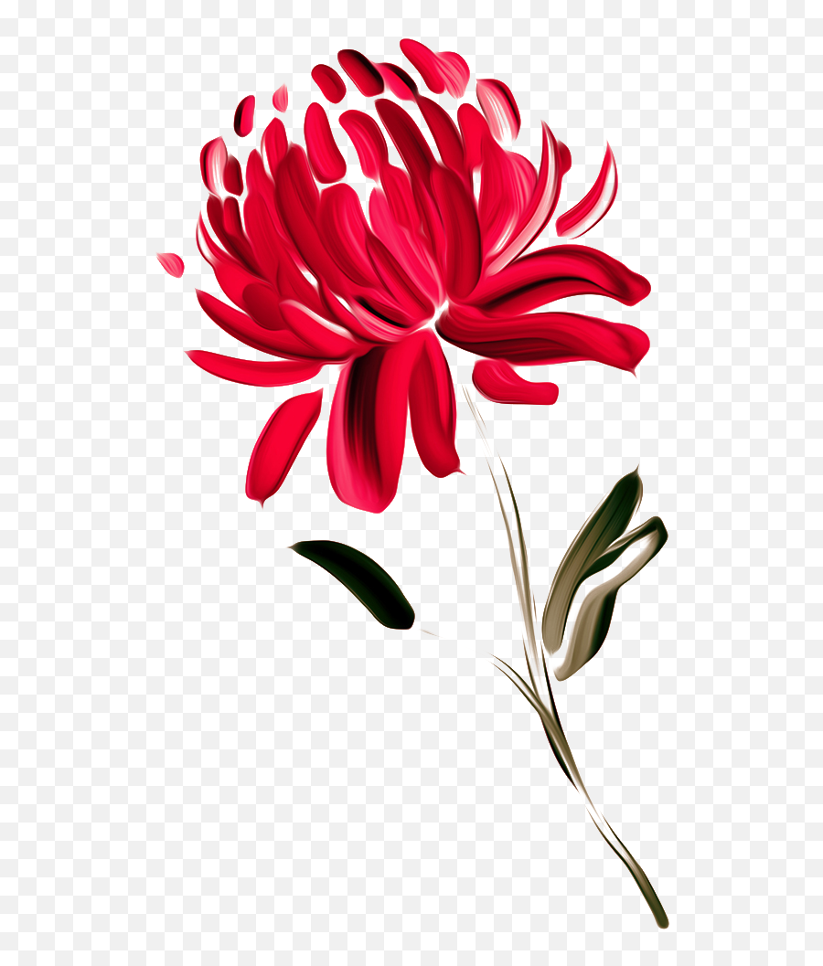 Download Australia Waratah Painted Chrysanthemums - Painted Chrysanthemum Emoji,Wildflower Png