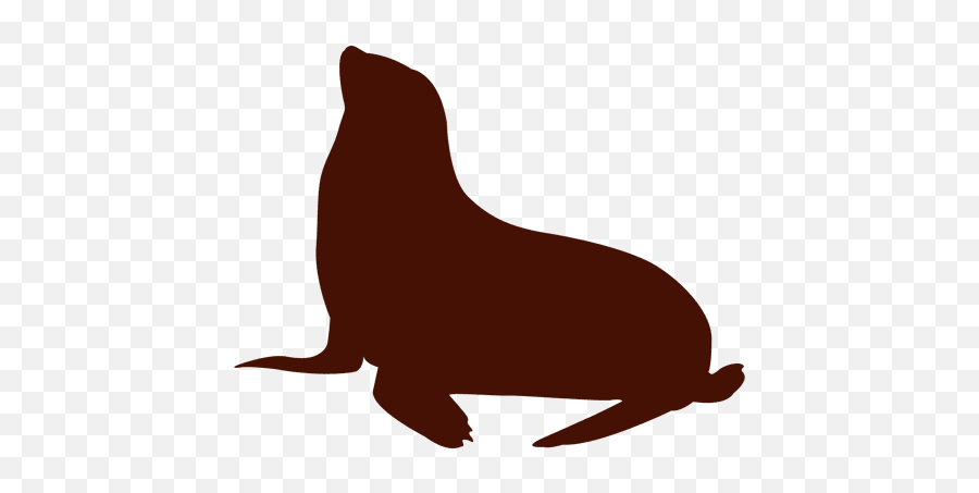 Sea Lion Silhouette Illustration - Transparent Png U0026 Svg Steller Sea Lion Emoji,Lion Silhouette Png