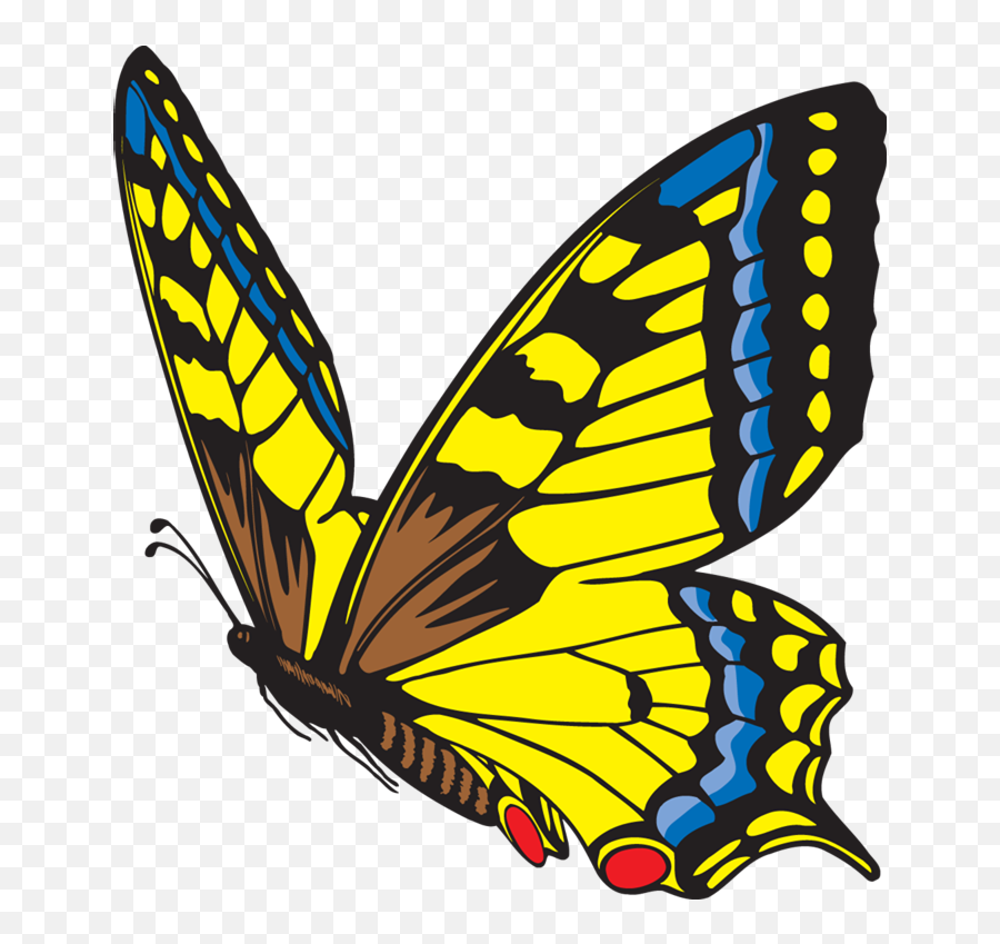 The Life Cycle Of The Butterfly - Life Cycle Of A Butterfly Emoji,Cocoon Clipart