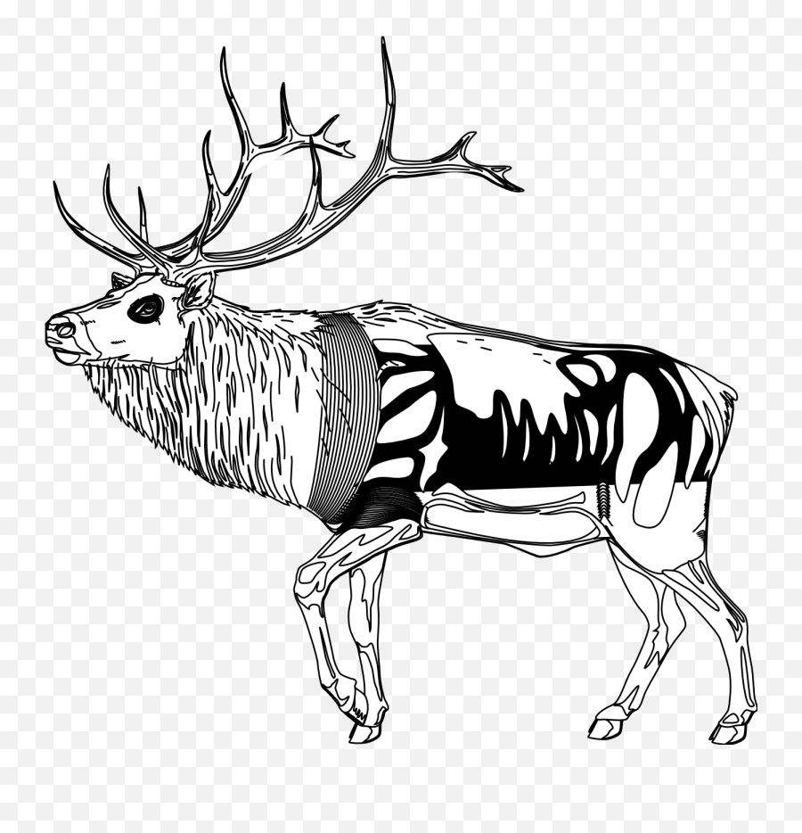 Download Reindeer Clipart Black And White - Reindeer Drawing Clip Art Emoji,Reindeer Clipart