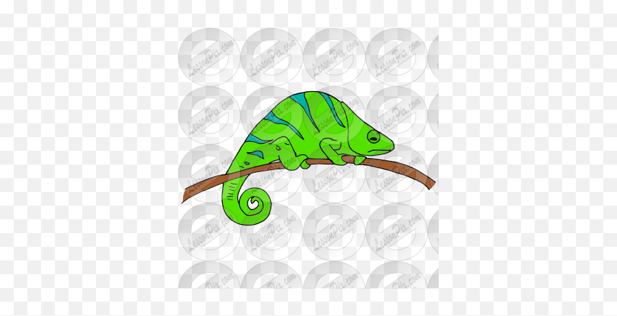 Chameleon Picture For Classroom - Common Chameleon Emoji,Chameleon Clipart