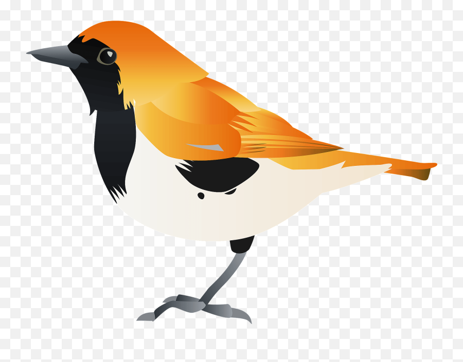 Ryukyu Robin Bird Clipart Emoji,Robin Clipart