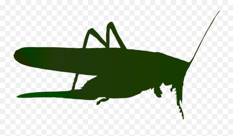 Transparent Grasshopper Clipart Image Emoji,Grasshopper Clipart
