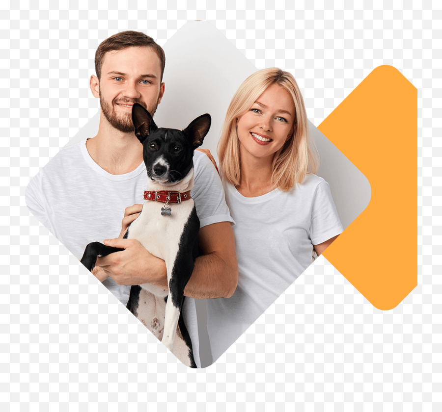 Cityvet Wellness Care - Canine Happy Emoji,Dogs Png