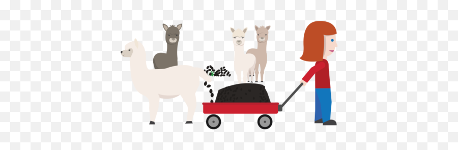 Alpaca In Pods - Animal Figure Emoji,Alpaca Png