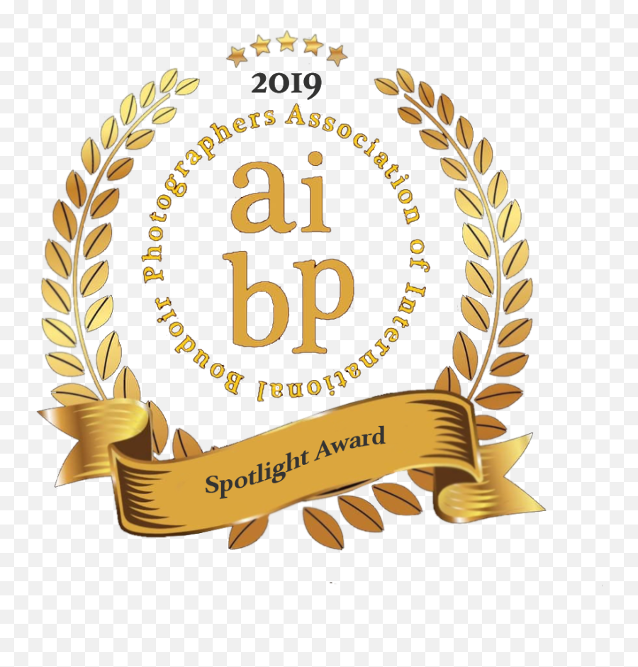 2019 Aibp Photographer Awards U2014 Association Of International - Photography Emoji,Spotlight Png