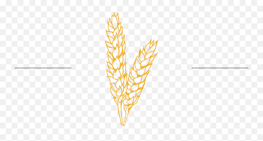 Faqs - Farm Fresh Wheat White Wheat Berries For Home Language Emoji,Gold Lines Png