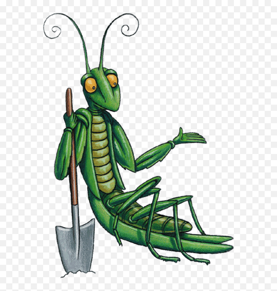 Grasshopper Clipart Clear Grasshopper - Junior Master Gardener Emoji,Grasshopper Clipart