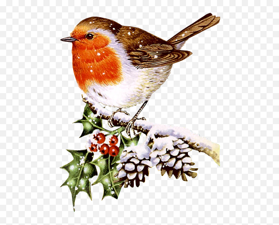 Christmas Robin Transparent Background - Winter Birds Clipart Emoji,Robin Clipart