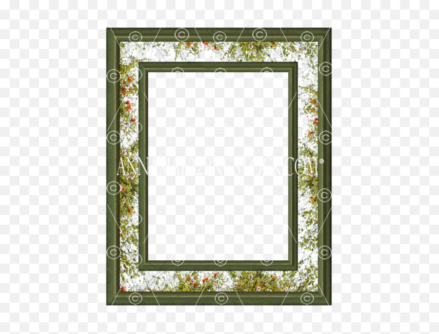 Wildflower Frame With Double Green Molding - Vertical Png Stock Photo 0079 Picture Frame Emoji,Wildflower Png