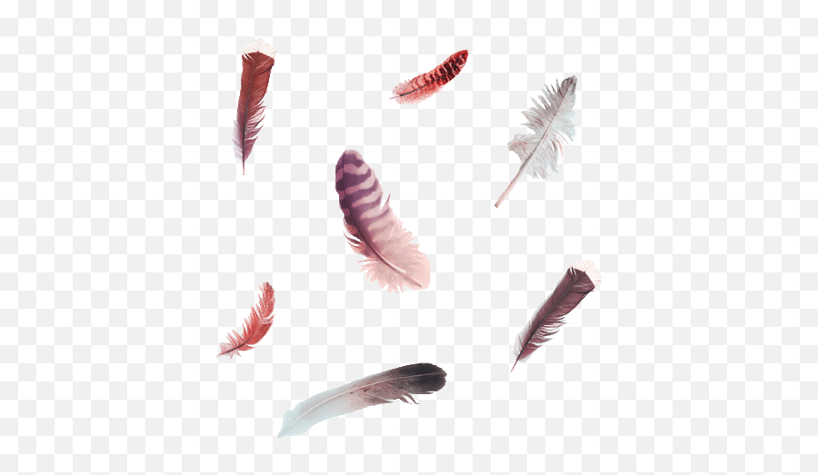 Falling Feathers - Feathers Png Image 2 1183546 Png Animal Product Emoji,Feathers Png