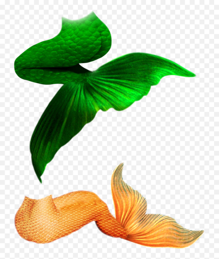 Mermaid Tails Ii By Jinxmim - Green Mermaid Tail Png Full Mermaid Tail Transparent Png Green Emoji,Mermaid Tail Clipart