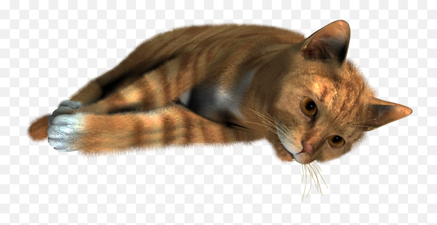 Cat Png Images - Animales Imagenes En Formato Png Emoji,Cat Png