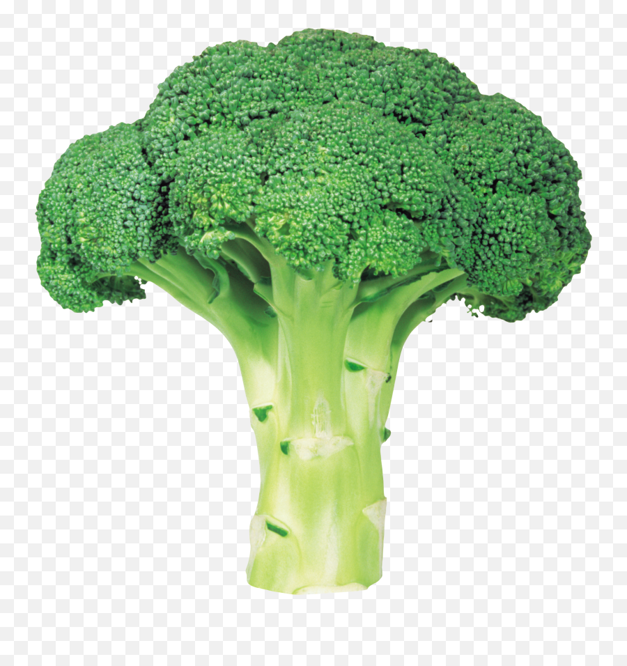 Broccoli Clipart Vegtable Broccoli Emoji,Broccoli Clipart