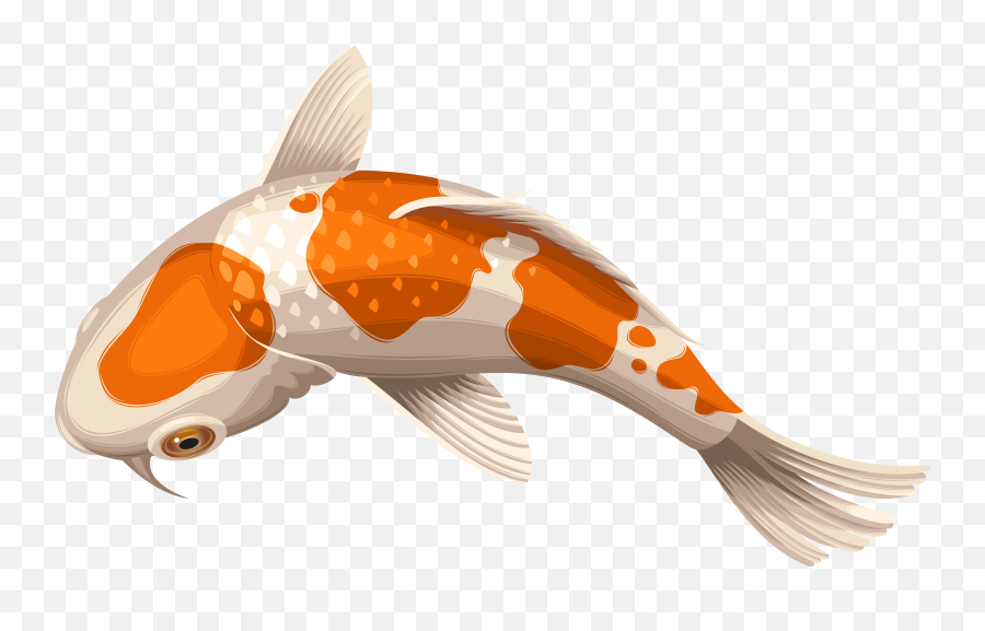 Carp Drawing - Transparent Background Koi Fish Png Emoji,Fish Png