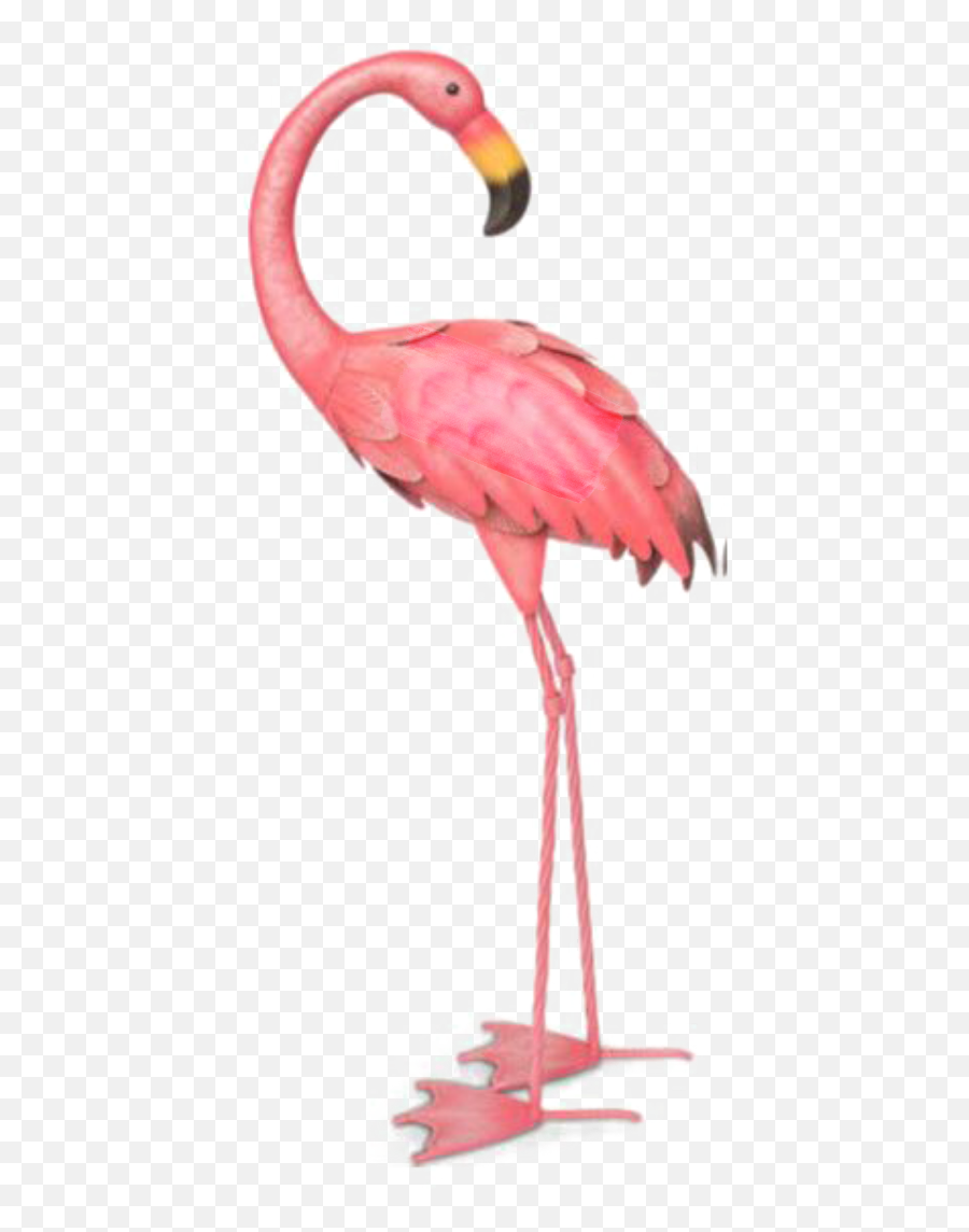 Ftestickers Watercolor Illustration Flamingo Emoji,Watercolor Background Png