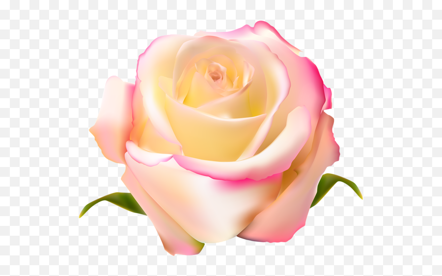 Pink Rose Clipart Gulab - Pink And Yellow Rose Png Full Rose Emoji,Pink Rose Clipart