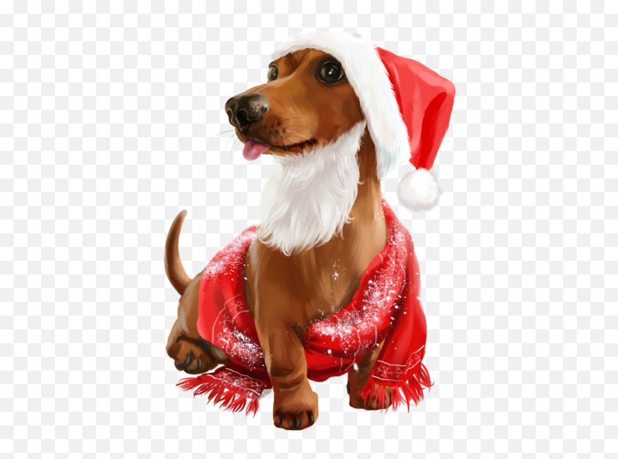 Dog Cat Png - Dog Clothes Emoji,Christmas Dog Clipart
