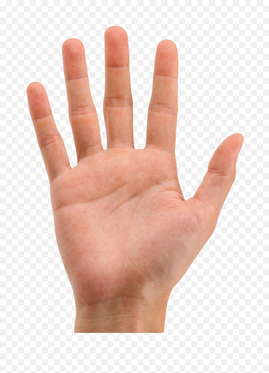 Download Hands Png Image For Free - Transparent Background Hand Transparent Png Emoji,Hands Png