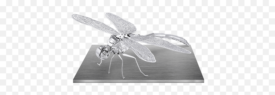 Metal Dragonfly 3d Model Kit - Ntür Museum Quality Insects Butterflies And Natural History Collectibles Artifacts And Gifts Dragonfly Model Emoji,Dragonfly Png
