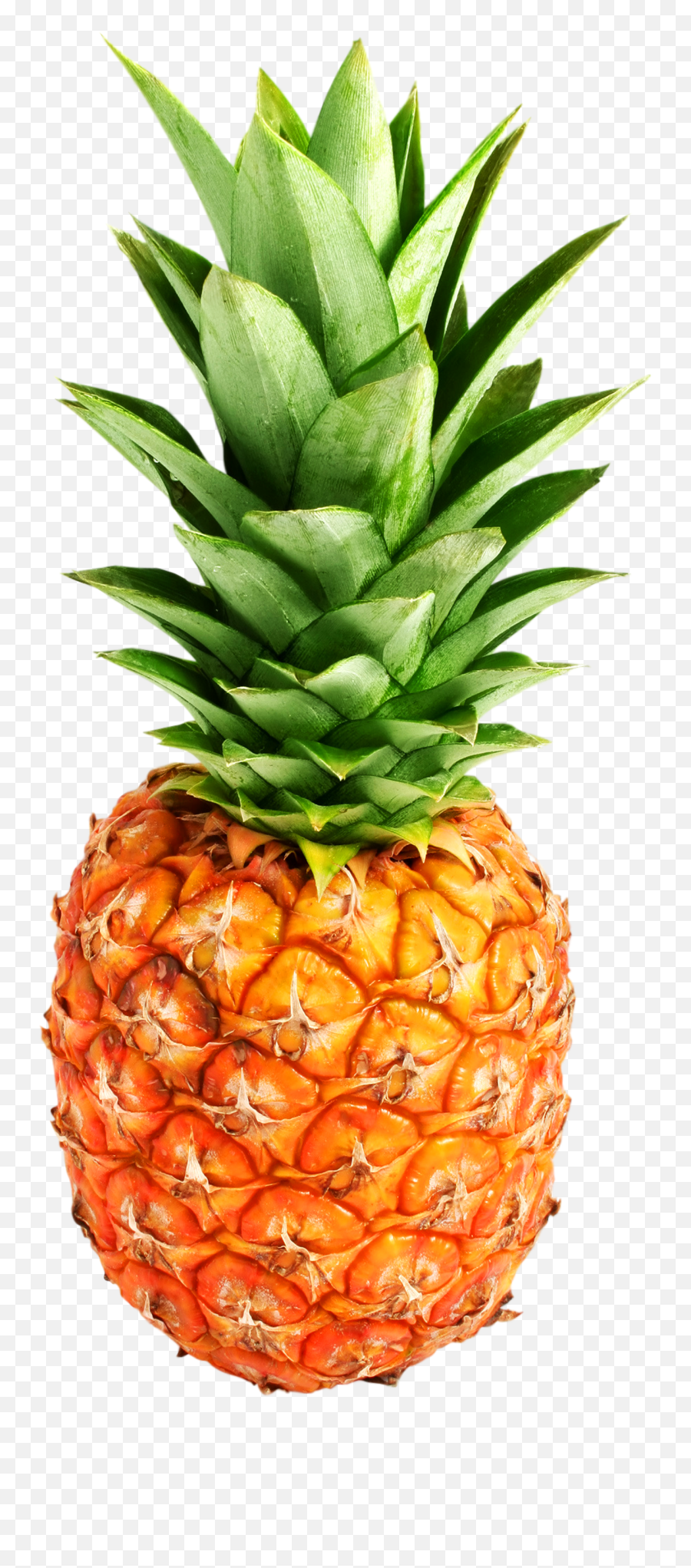 Pineapple Png Clipart Hq Png Image - Pineapple Png Emoji,Pineapple Clipart