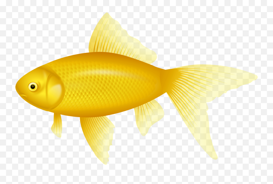 Download Yellow Fish Png Clipart - Yellow Fish Png Emoji,Fish Png