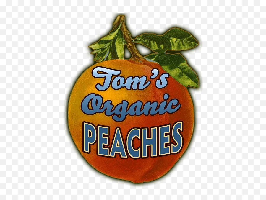 Peaches - Fresh Emoji,Peaches Png
