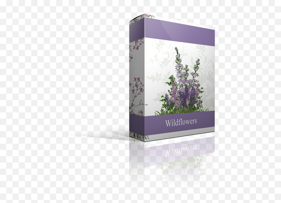Wildflower Overlays For Photographers Enhance Your Portrait - English Lavender Emoji,Wildflower Png