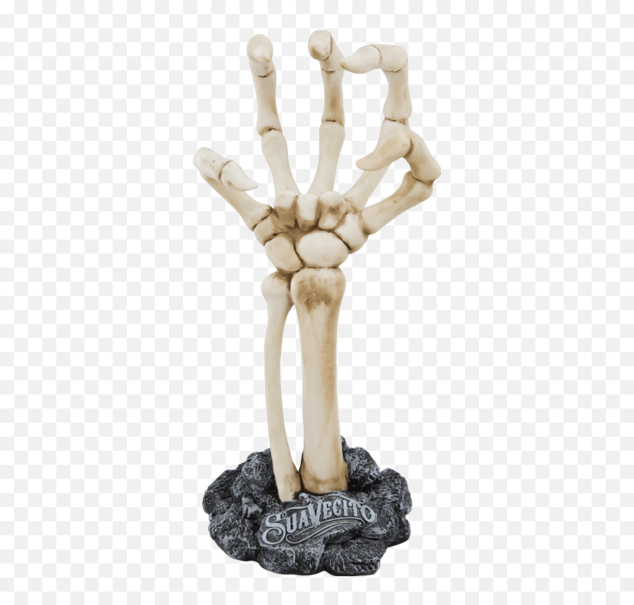 Upper Limb Transparent Png Image - Skeleton Hand From Front Emoji,Skeleton Hand Png