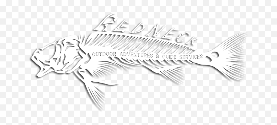 Scheduling Your Fishing Trip U2014 Redneck Outdoor Adventures Emoji,Fish Bones Clipart