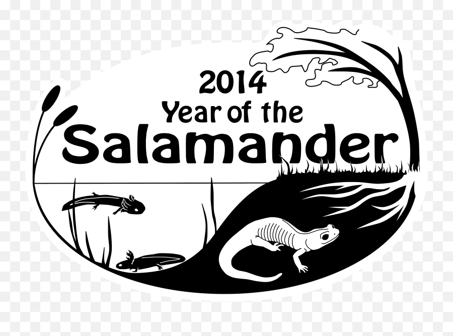 Why Should I Care About Salamanders U2013 The Rare Blog Emoji,Salamander Clipart