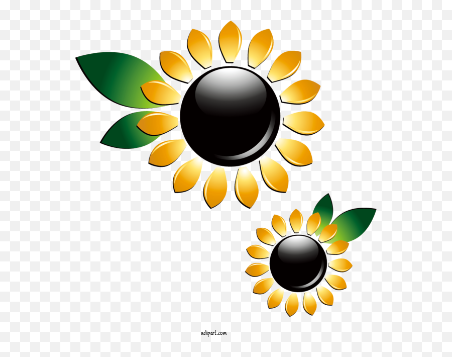 Flowers Adobe Illustrator 3d Computer Graphics For Sunflower Emoji,3d Clipart