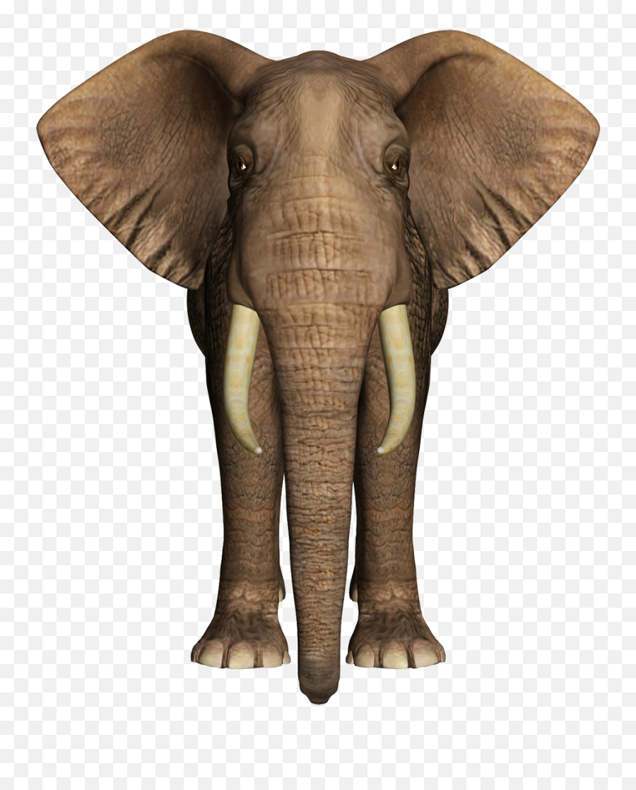 Elephant Clip Art - Elephant Statue Front View Emoji,Elephant Silhouette Clipart