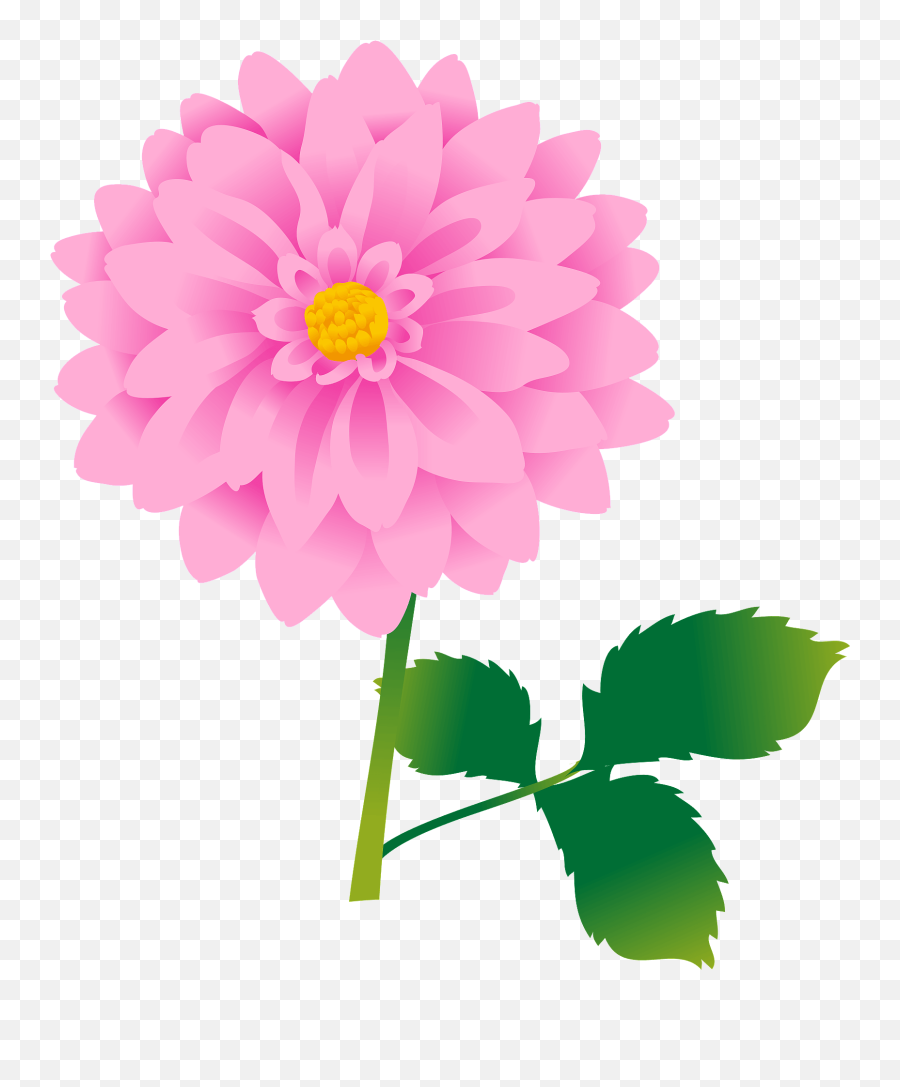 Dahlia Flower Clipart Free Download Transparent Png - Flower Clip Art Dahlia Emoji,Flower Clipart Png