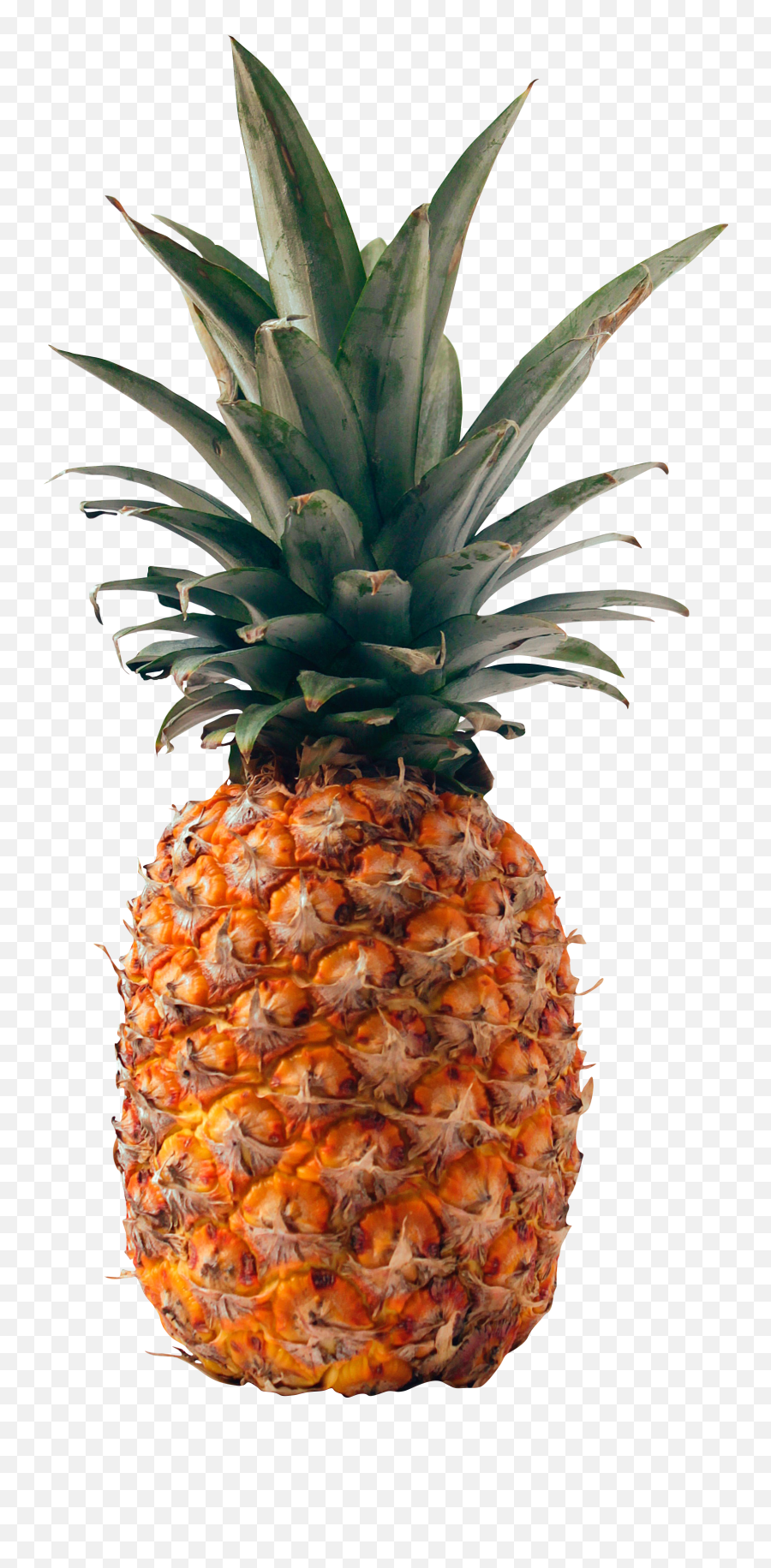 Fresh Golden Pineapple Png U2013 Png For Free Emoji,Pineapple Png