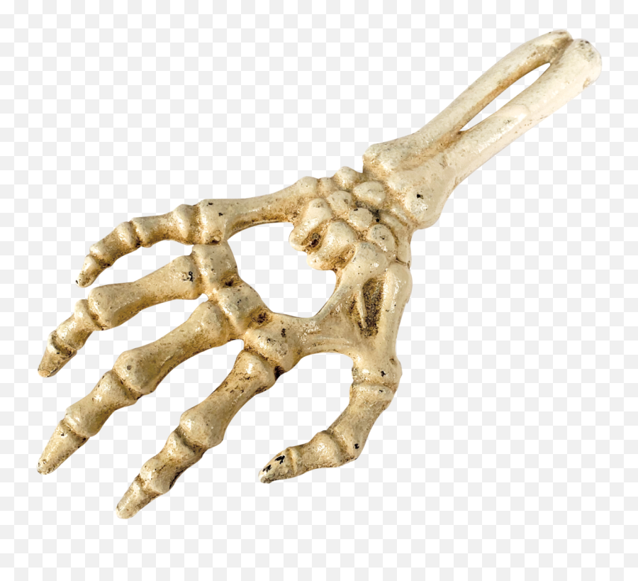 Skeleton Hand Bottle Opener Da - Solid Emoji,Skeleton Hand Png