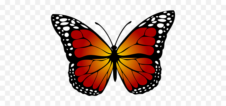 Download Monarch Butterfly Clipart Real - Monarch Butterfly Emoji,Real Butterfly Png