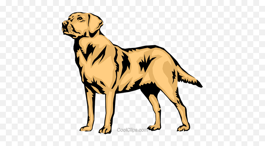 Labrador Retriever Vector Png Free - Labrador Dog Png Vector Emoji,Golden Retriever Clipart