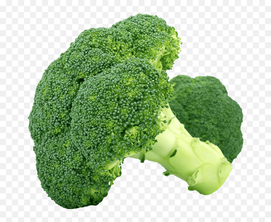 Free Transparent Broccoli Png Download - Broccoli Cauliflower Png Emoji,Broccoli Png