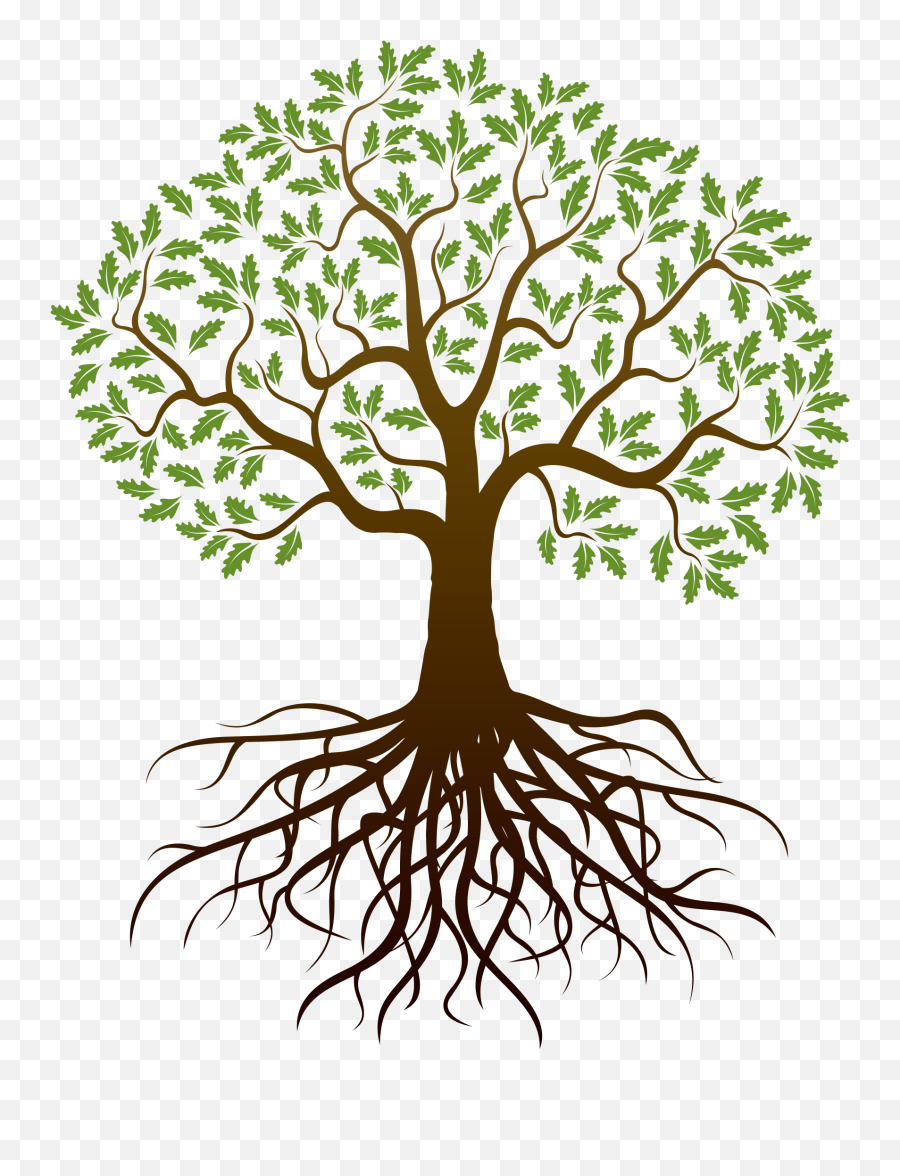 Family Tree Clipart Png Trees - Transparent Background Tree With Roots Png Emoji,Family Tree Clipart