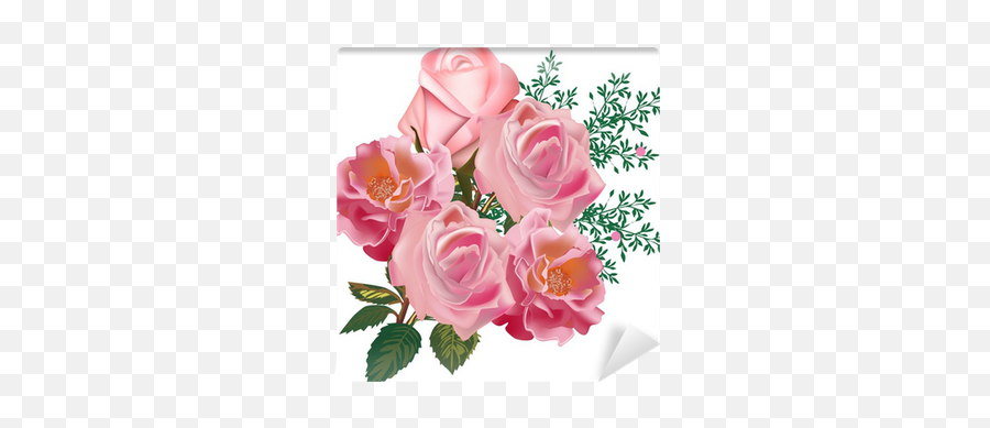 Five Pink Roses Isolated On White Background Wall Mural Emoji,Pink Rose Transparent Background