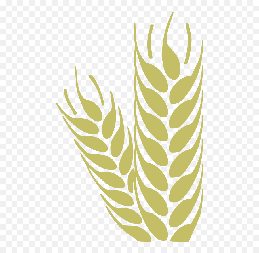 Free Wheat Scroll Cliparts Download Free Clip Art Free - Clip Art Emoji,Wheat Clipart