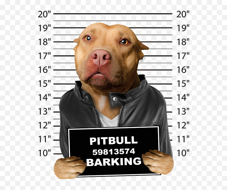 Download Pitbull Mugshot Png Image With No Background Emoji,Pit Bull Png
